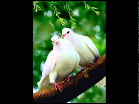 Elton John - I Feel Like a Bullet in The Gun of Robert Ford