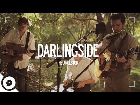 Darlingside - The Ancestor | OurVinyl Session