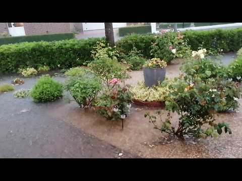 Unwetter Burlage 13.06.2020