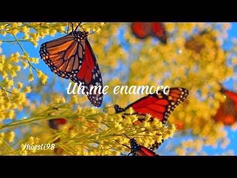 Como las Mariposas-Pedro Suárez Vértiz/letra