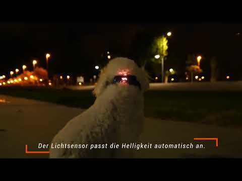 🌙LICHTFUNKTION 🐶 PAJ #gps PET Finder #4g