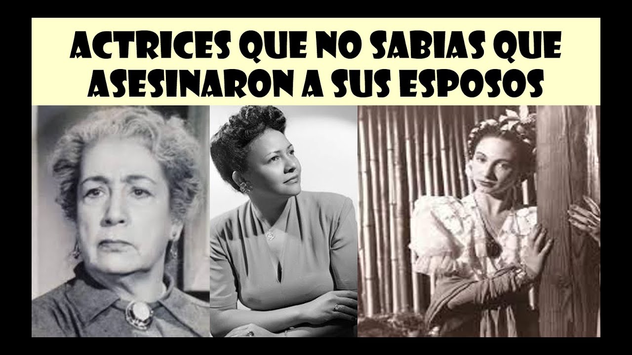 YouTube Thumbnail Downloader FULL HQ IMAGE