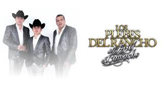 [Letra] TU DESGRACIADO - Los Plebes Del Rancho De Ariel Camacho