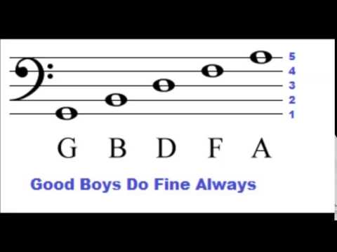 Bass Clef Lines and Spaces - How To Read Music