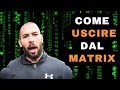 ANDREW TATE DESCRIVE IL MATRIX IN ITALIANO