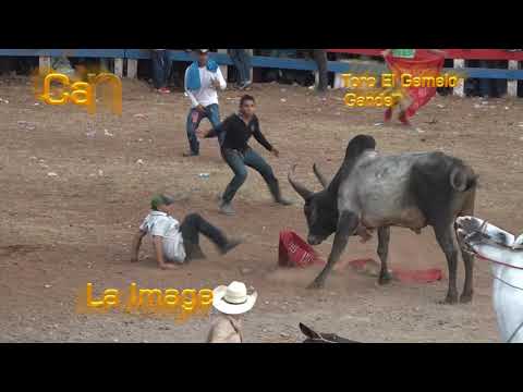 Los clones  de toros Juigalpa