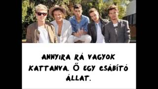 One Direction   Just Can&#39;t Let Her Go Magyar Felirat