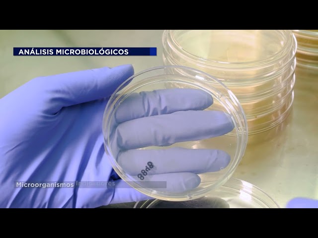 imagen-video-thefoodtech