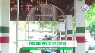 CAMPEONATO ESTADUAL FEBRAPS 2021 - SEXTA ETAPA - SOROCABA II - SP