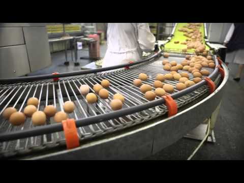 Sprayon® H1 Food Grade Lubricants