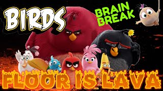 ANGRY BIRDS: FLOOR IS LAVA BRAIN BREAK! EXERCISE BREAK. Gonoodle alternative Just Dance, Movement