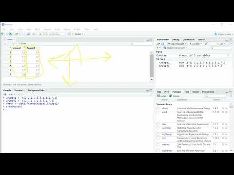 1.5 R-Kurs Datensatz Long- und Wide-Format