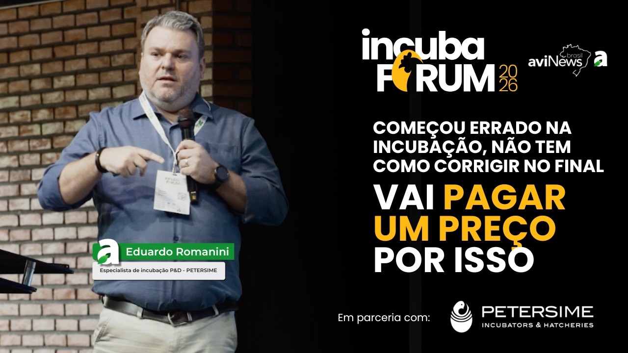 Começou Errado, Terminou Errado: O Impacto Invisível da Incubação na Uniformidade do Frango