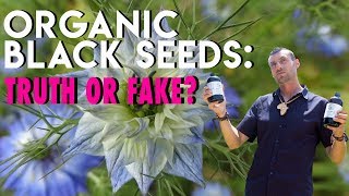 Organic black seeds: Truth or Fake?