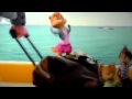 Alvin And The Chipmunks Chipwrecked Vacation Scene