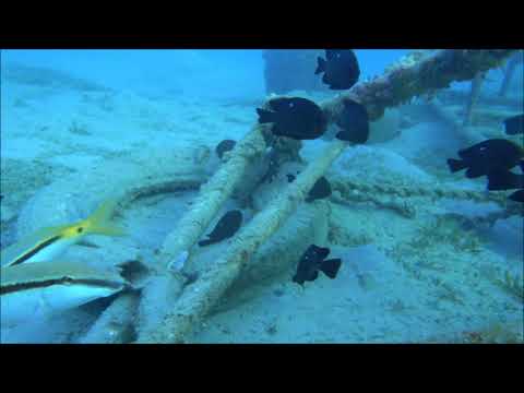 2017-11-23, Egypt, Safaga, FreeDiving, Sonnendeck