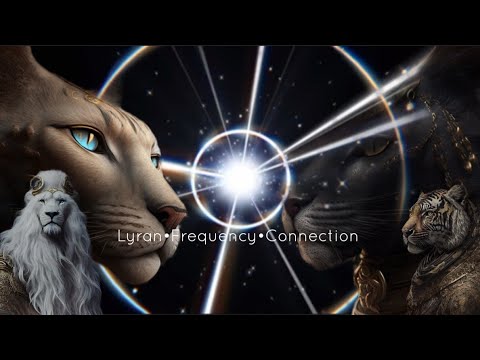 Lyran • Frequency • Connection 🐾  432 • 172.06 Hz • Vega  Star and Crown Chakra Frequency ✨