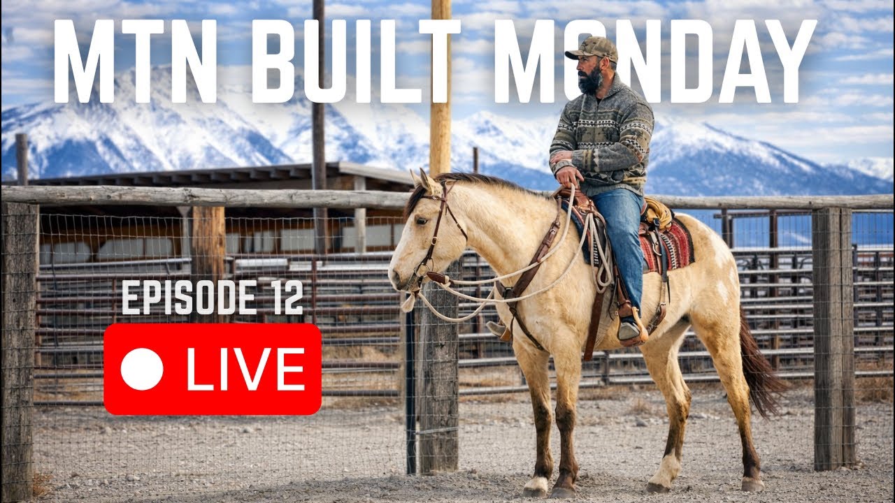 Appaloosa VS Mustang Barrel Racing Showdown! (LIVE From The Rodeo Grounds)