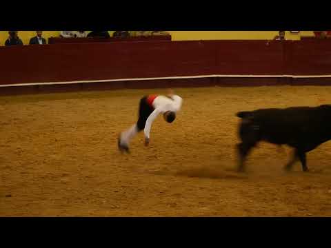 Men jumping over a charging bull