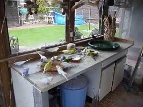 2013 07 15 Frühstück mit Ei bei den Bunten