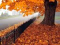 Natalie Imbruglia - Come September subtitulada ...
