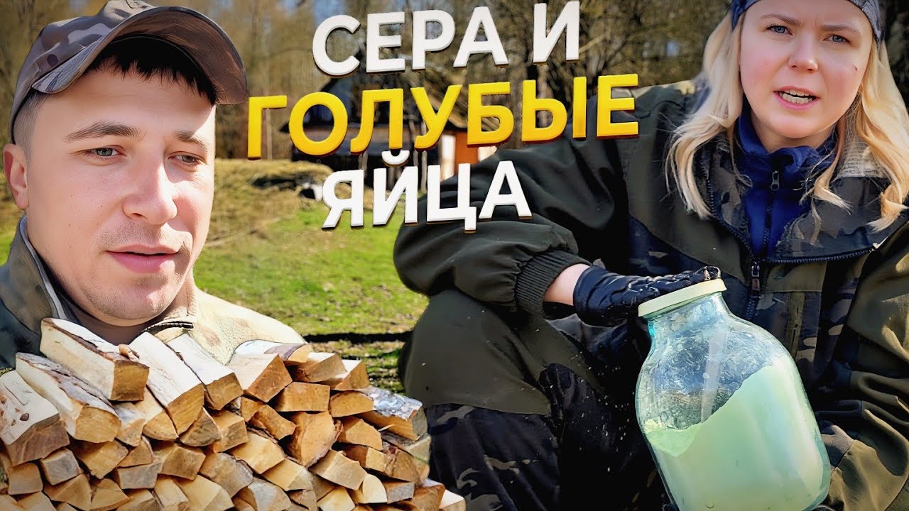 Жизнь в ДЕРЕВНЕ весной. Заготовка ДРОВ. Как ухаживать за голубикой и откуда Г