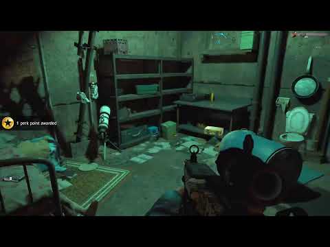 Far cry New dawn walkthrough part 9