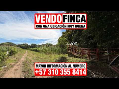 🔥(VENDO) – FINCA DE: (1) HECTÁREA (10.000 M²)🔥Mayor información al: (+57) 310 355 8414🔥