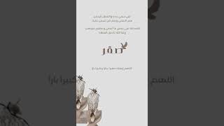 فيديو نموذج بشارة مولود | 5