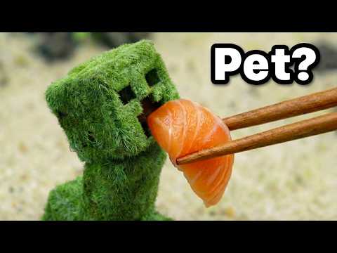 I Got a Pet Creeper in Real Life