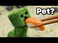 I Got a Pet Creeper in Real Life