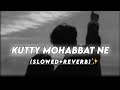 Lut Gaye Kutty Mohabbat Ne Slowedreverb