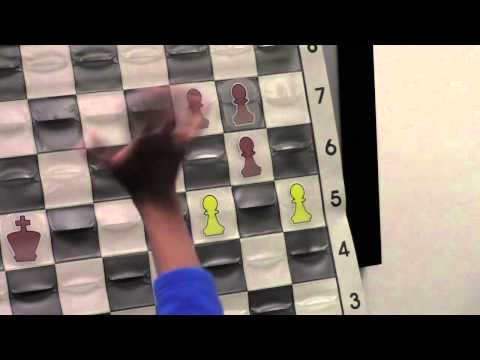 Chess Lecture for Beginners with GM Yasser Seirawan - 2012.12.02