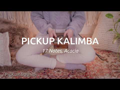 Meinl PKL1707H Soundhole Pickup Kalimba Akazie - Kalimba image 8