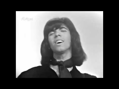 Modulos - Luz Errante