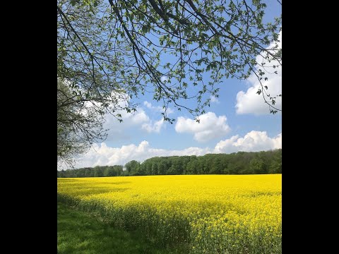 Rennbahn und Golfplatz Düsseldorf-Grafenberg