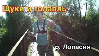 Рыбалка на реке лопасня у чехова