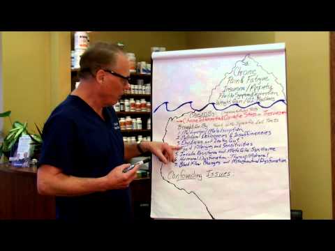 Decoding the Mystery of Your Chronic Pain and Fatigue with Dr. Greg Fors