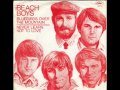 The Beach Boys - Bluebirds Over The Mountain