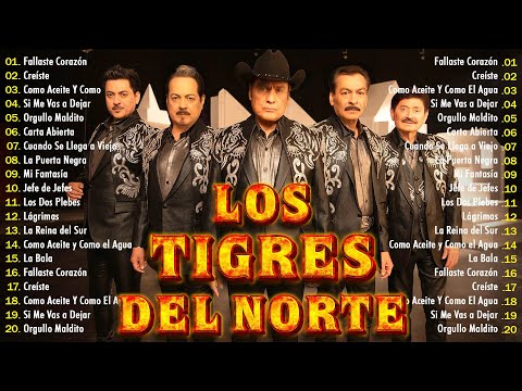 LOS TIGRES DEL NORTE MIX 2025 🎶 CORRIDOS Y NORTEÑAS VIEJITAS CANCIONES DE LOS TIGRES DEL NORTE