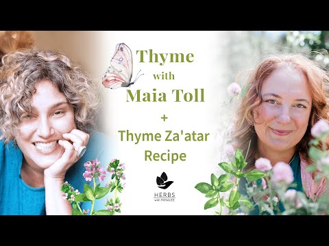Thyme with Maia Toll | Thyme Zaatar Recipe | Antibacterial and Antiviral Herb