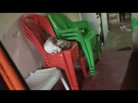 Poço de José de Moura PB 