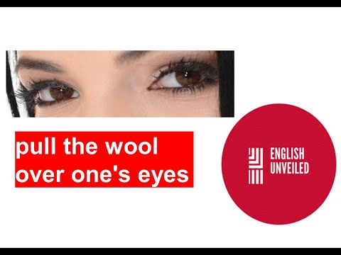 #snippet_of_english​​​​​​​​ #english_unveiled​​​​​​​​ - pull the wool over someone's eyes