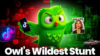 Duolingo: Chaotic Owl on TikTok