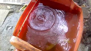 slowmotion camera Bcare x3 &#39;&#39; water down of the rain &#39;&#39;