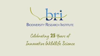 Newswise:Video Embedded celebrating-25-years-of-innovative-wildlife-science