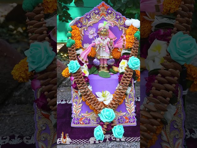 Harikrushna Maharaj