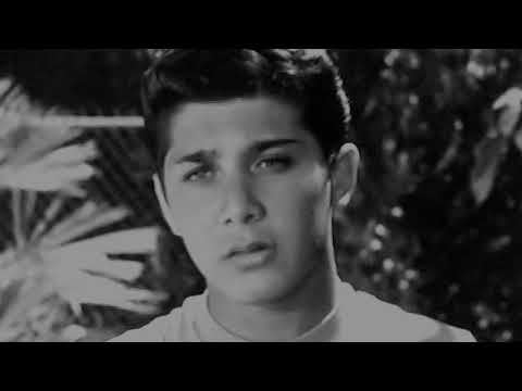 kissin on the phone - Paul Anka