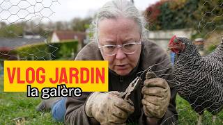 PROBLÈMES AU JARDIN : Réparations, soins des poules et un poulailler à assainir ! #jardin #maman