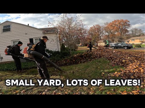 Small Yard, BIG Problem With Leaves! || Fall Cleanup